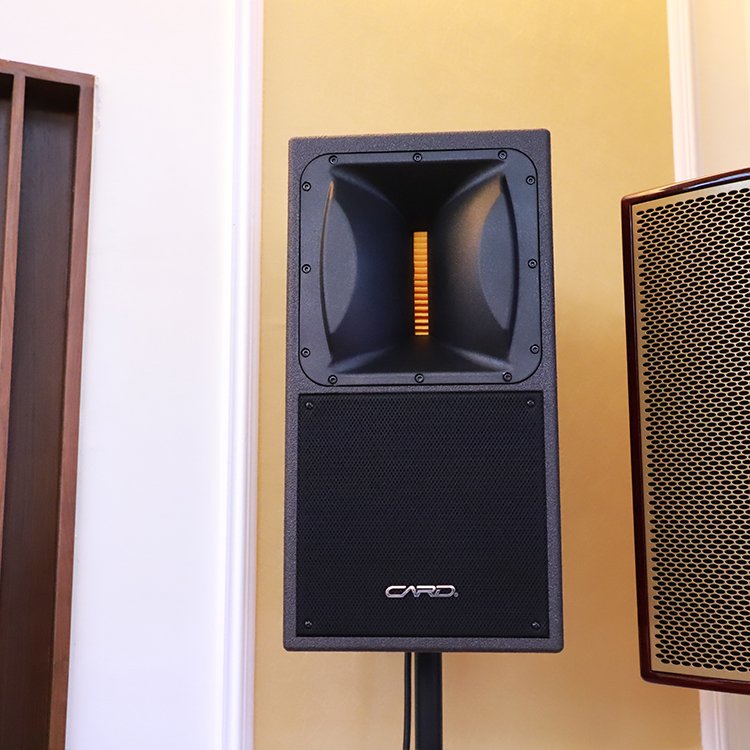 CARD wooden 10 inch 12 inch nightclub disco ktv karaoke music party dj sound system passive professional HI FI speaker