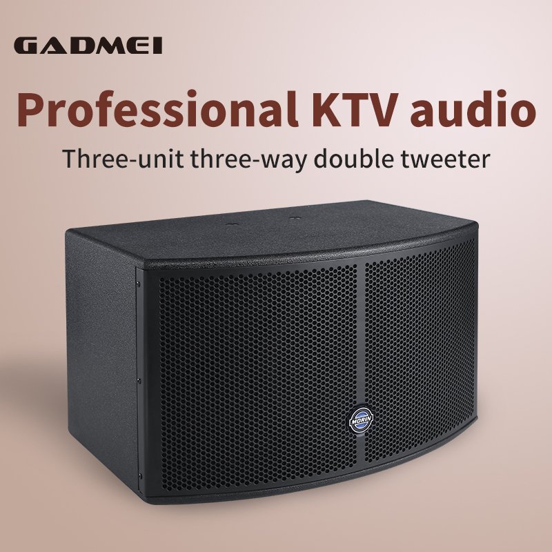 Indoor 10 inch dj party speaker 1000w karaoke speaker home theater passive speaker professional audio