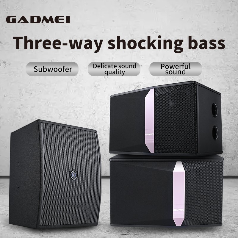 Indoor 10 inch dj party speaker 1000w karaoke speaker home theater passive speaker professional audio