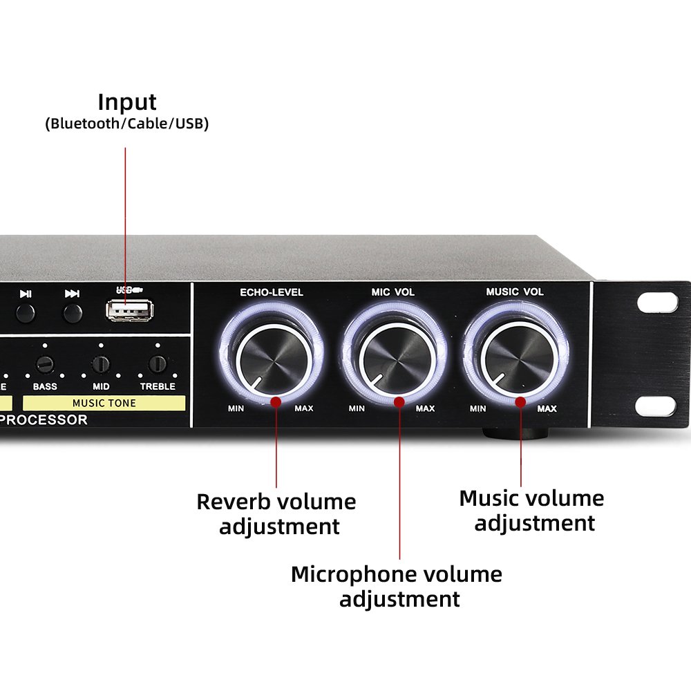 Depusheng Hot Sale REV3900 Digital Audio Processor KTV Pre-effector for Home Party Wedding Karaoke