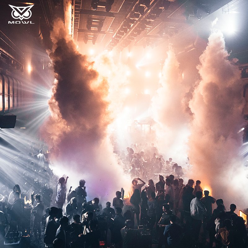 MOWL Remote Controlled Stage Effect Equipment 3000W DMX Smoke Fog Machine for Dj Disco Bar Party KTV Churches