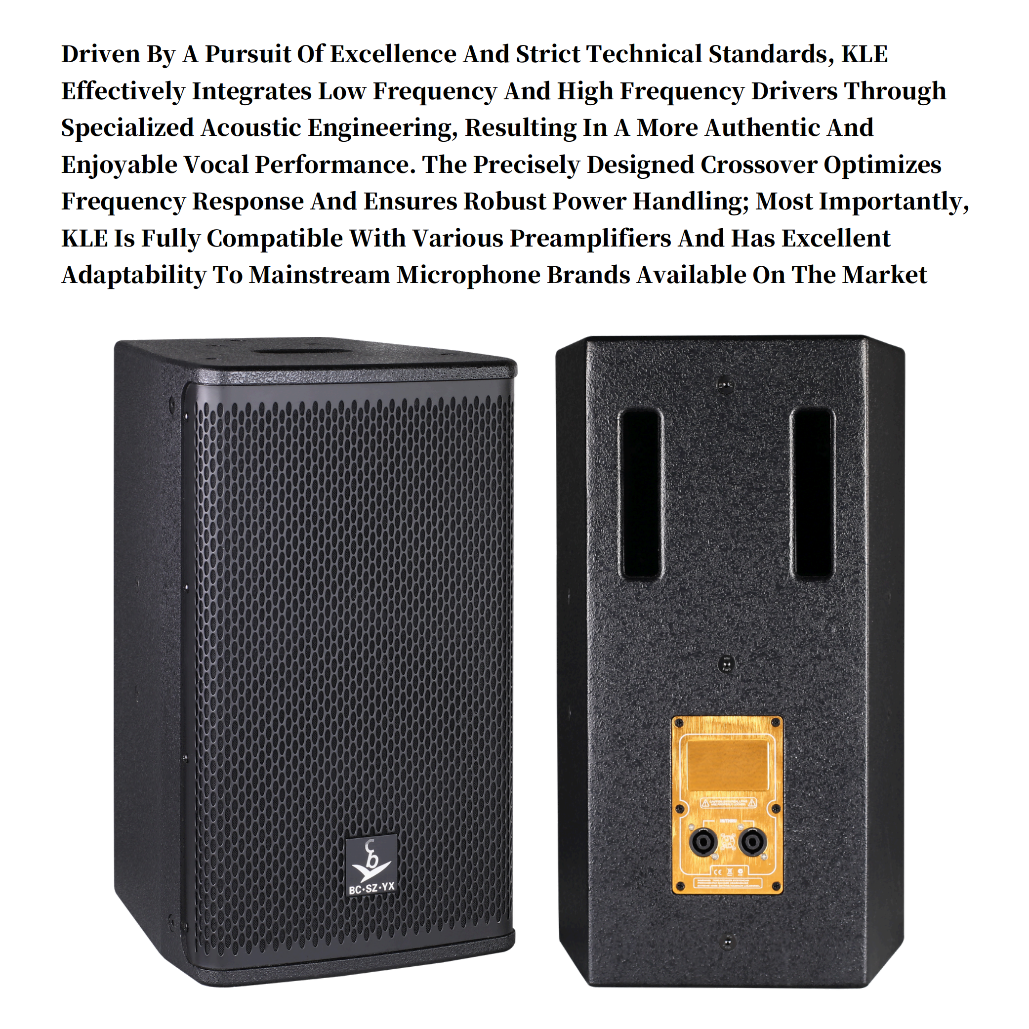 250W 10-Inch KTV Professional Speaker (JBL KLS10) 10-Inch Passive Full-Range Speaker Professional Speaker Audio Equipment