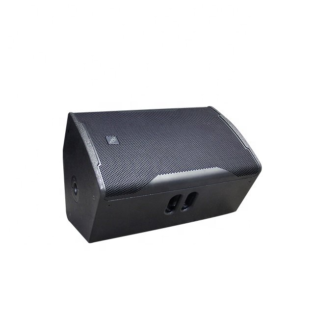 ARE Audio Single 15 Inch Monitor System Audio Speaker System Passive Professional Speaker Stage Monitor for Outdoor