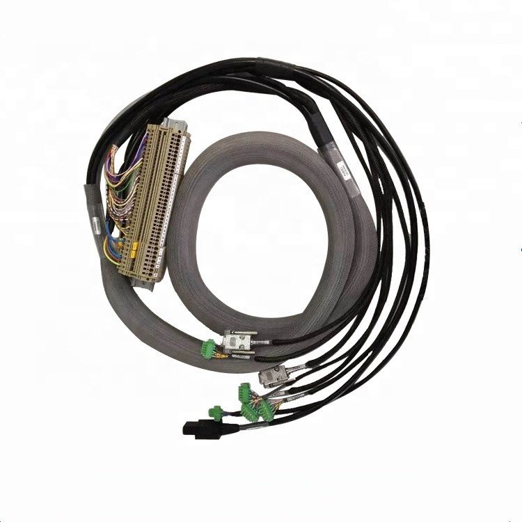 M12 Connector Cable or Cable Assembly