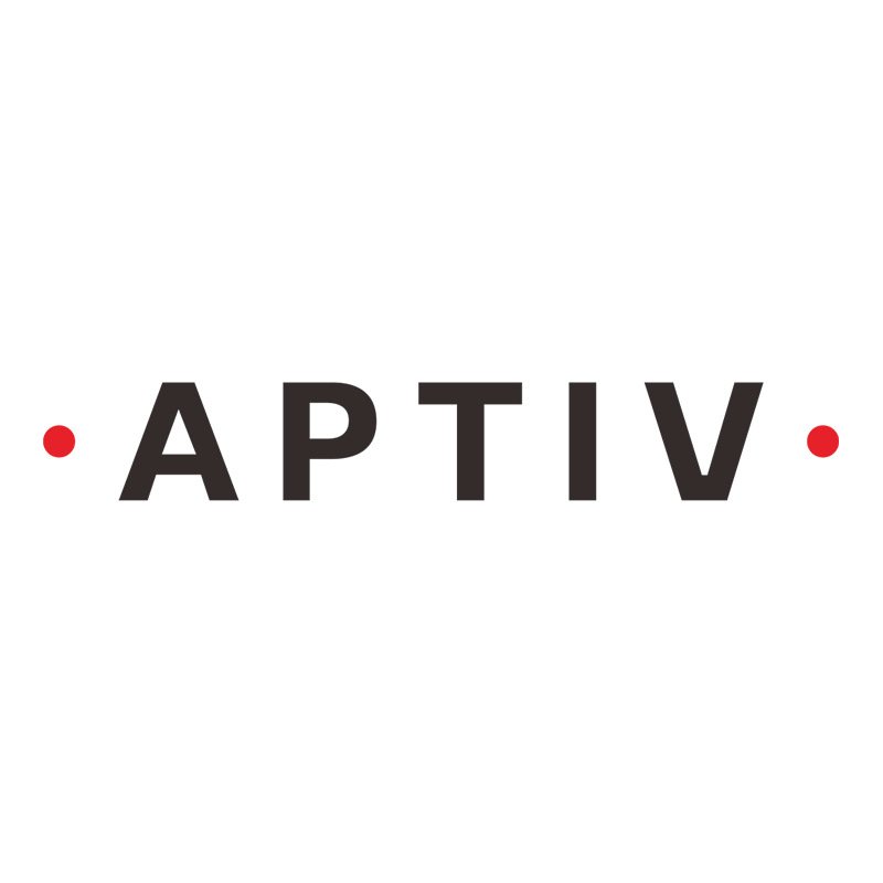15317878 Aptiv (formerly Delphi) new and original car APTIV Terminals Automotive Connectors TERM F M/P 150 SN6 UNSEAL TANG