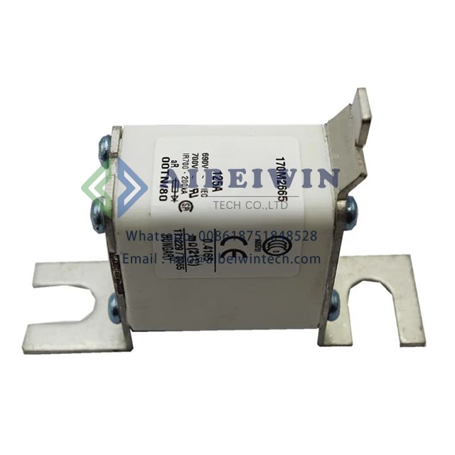 Service fuse 170M2663 Power Electronic Components Auto Fuse Box Thermal Fuse