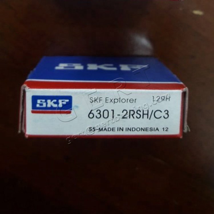 Provide Original SKF Deep Groove Ball Bearing 6301