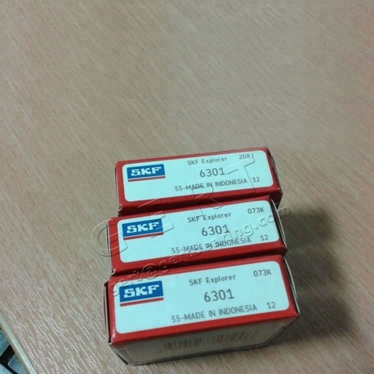 Provide Original SKF Deep Groove Ball Bearing 6301