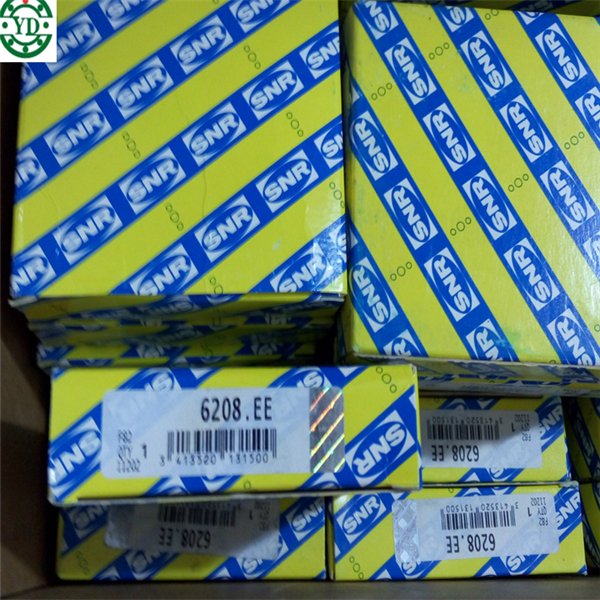 France SNR Bearing 6210.EE 6210 6210RS 6210ZZ 6210DDU 6210LLU