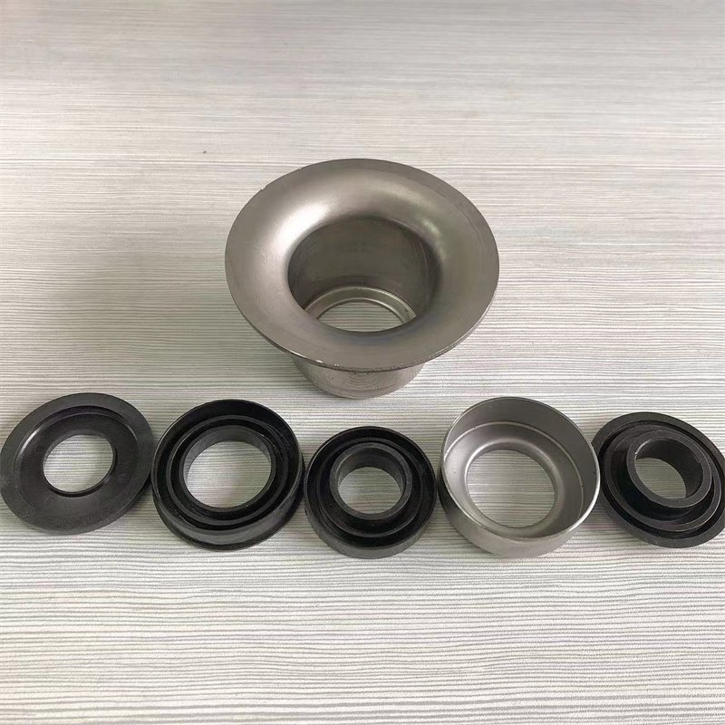 Bearing support and dust seal for deep groove ball bearing