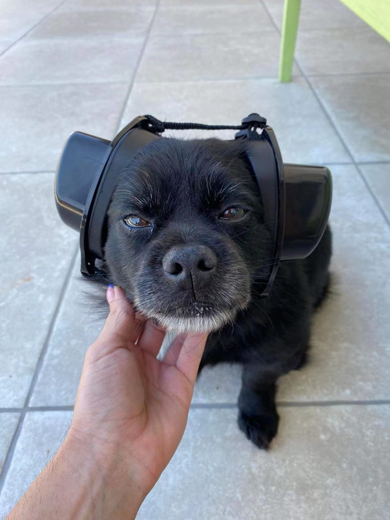Ear Plugs for Hearing Noise canceling Earmuffs Dog Hearing Protector Thunder Fireworks