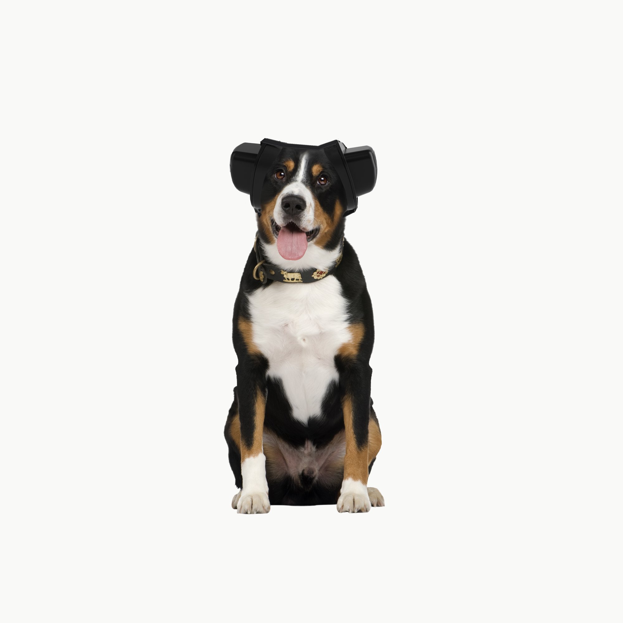 New Arrivals Noise Reduction Earmuffs Dog Earmuff Dog Hearing Protector Hearing Protection For Pet