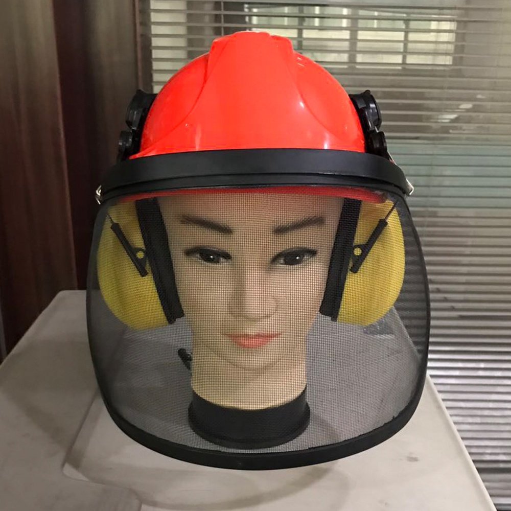 FS3008 Economic Forest Safety helmet with earmuffs and mesh viosr for loggers CE