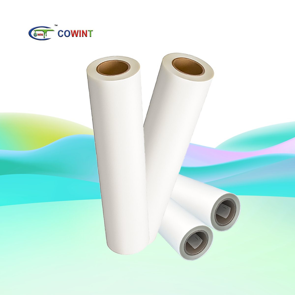 Cowint a3 dtf ab transfer printer 33cm roll heat transfer machine roll tpu hot melt adhesive direct to film recyclable