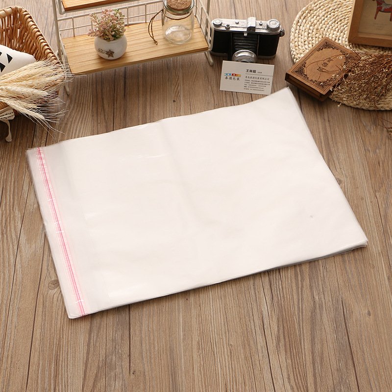 Frosted Poly Bags Custom Logo Opp Material Plastic Self Adhesive Seal Bag