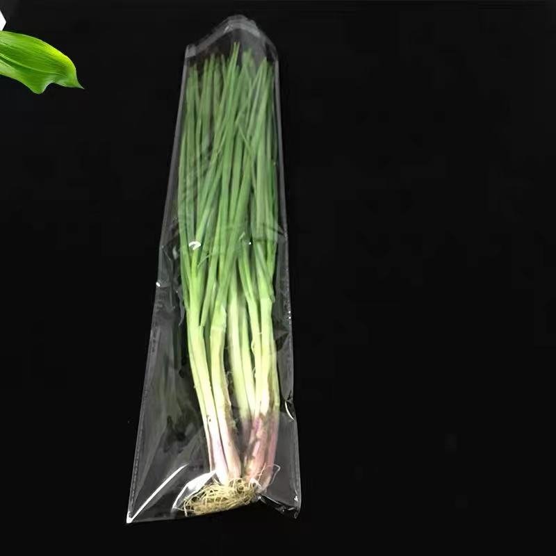 Custom Print Multiple Colour Plastic Large Poly Clear Self Seal Adhesive Bag