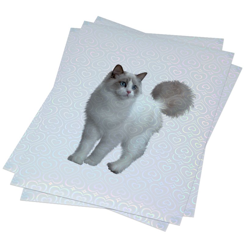 A4 printable self adhesive transparent film vinyl sticker with star pattern 11.7 x 8.3 inch transparent holographic sticker