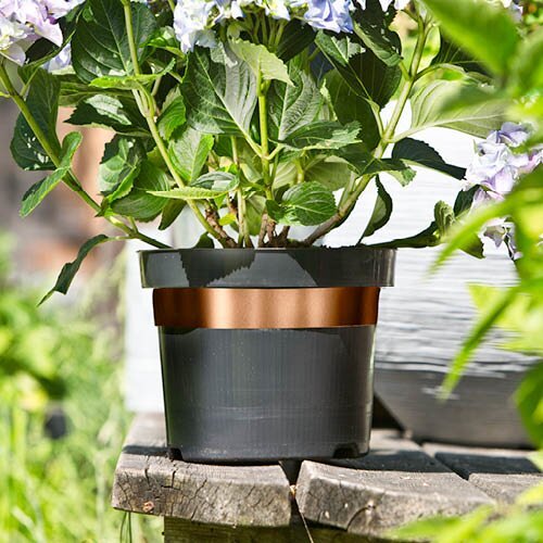 Double-Side limace Ruban de cuivre High Conductive Adhesive Anti Slug Snail Copper Foil Tape