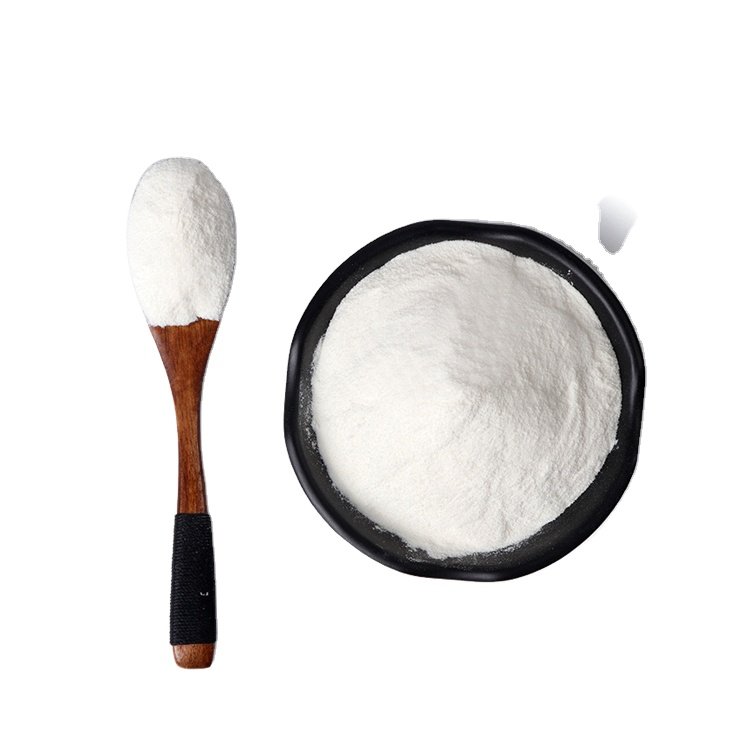 HPMC CELLULOSE GLUE TILE ADHESIVE GOUTING Cement Based Putty