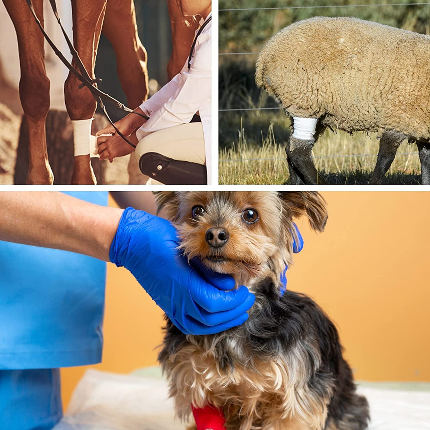 Custom Logo Medical First Aid Rugged Packaging Self Adhesive Pet Tape cohesive bandage picture