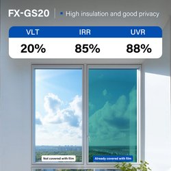 FX-GS20