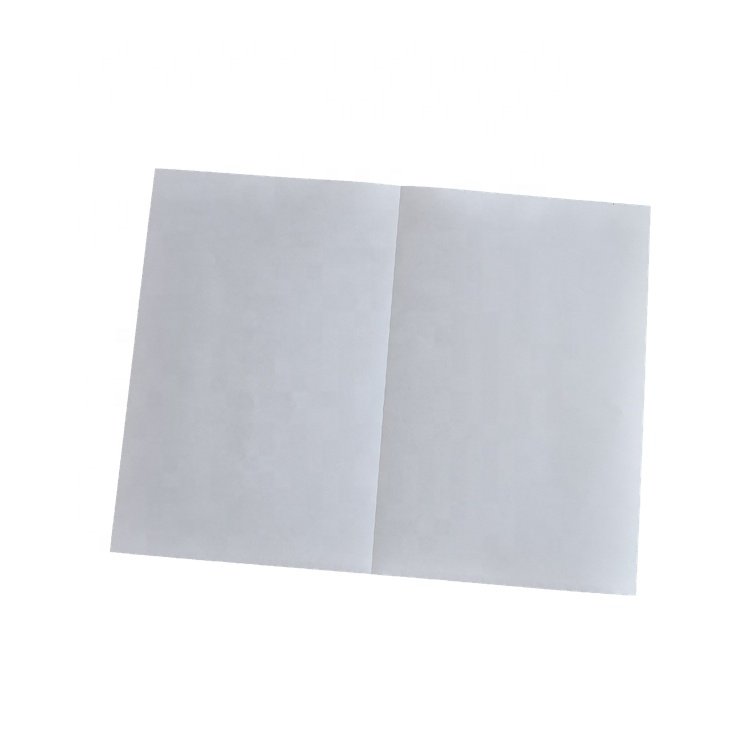 Adhesive 2 UP Half Sheet Shipping Label for EMS, USPS
