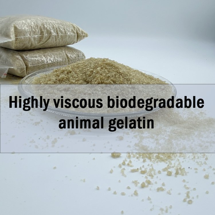 Custom Bulk Animal Glue 180 200 Bloom Industrial Gelatin Hot Melt Glue Plant Jelly Glue For Bookbinding