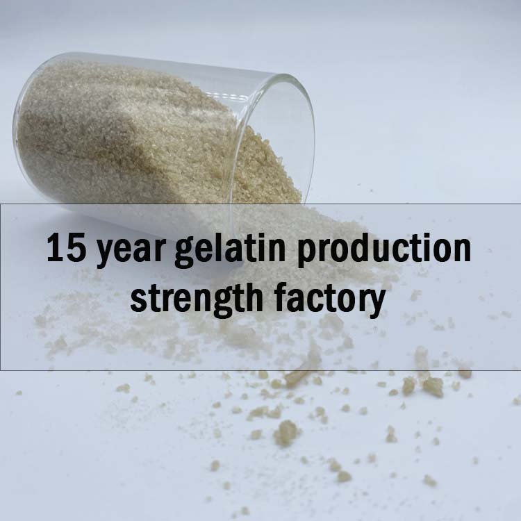 Custom Bulk Animal Glue 180 200 Bloom Industrial Gelatin Hot Melt Glue Plant Jelly Glue For Bookbinding
