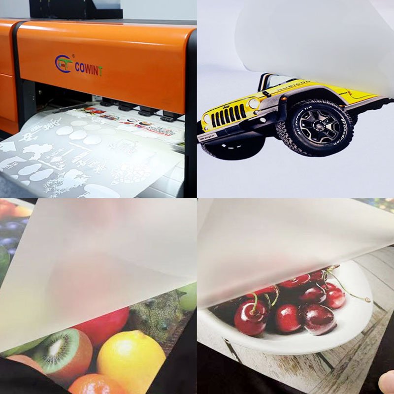 Cowint Wholesale a3 Adhesive Sticker Film Transfer Pet Film Printing DTF Film For DTF Printer recyclable