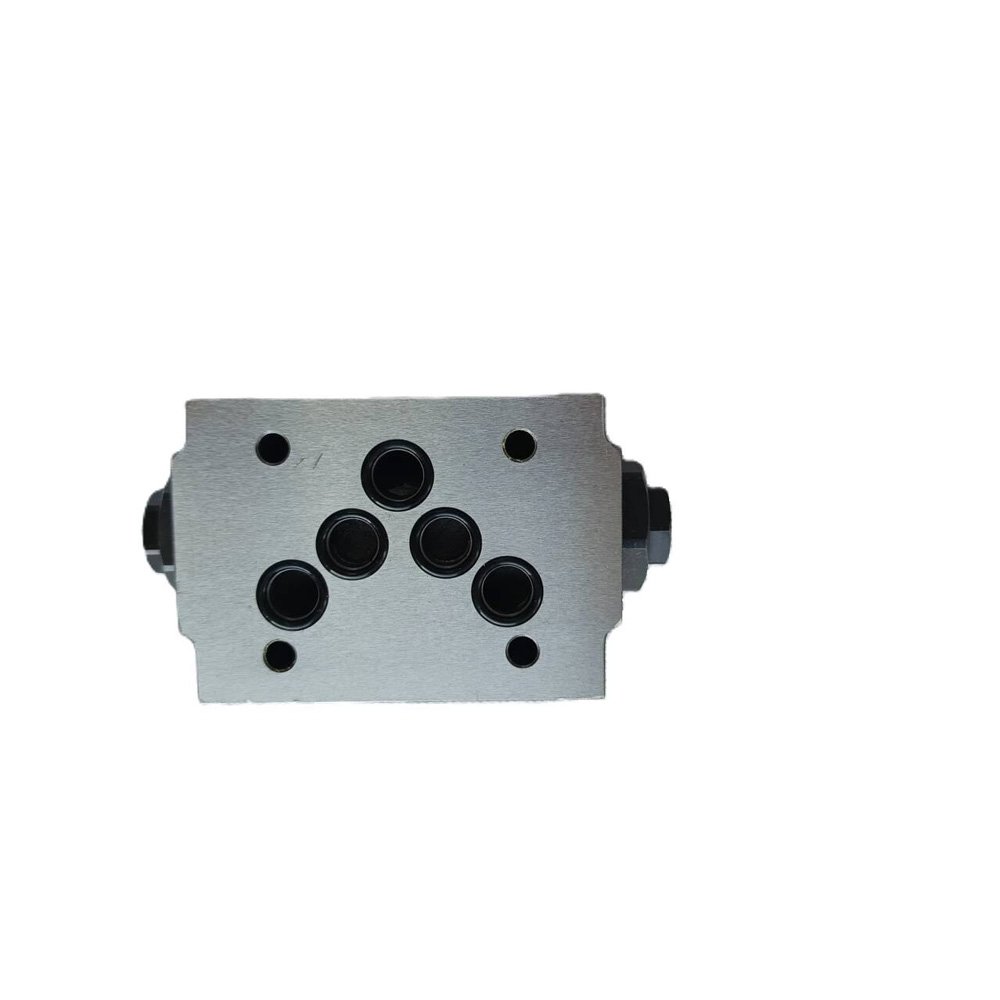 Z2s10-1-20b Z2s10-1-30b Z2s10-1-60b Hydraulic Pressure Control Check Valve