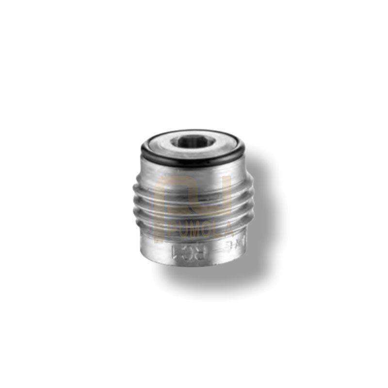 HAWE Check Valve RC2 RC 2/1Check Valve type RK RB RC RE