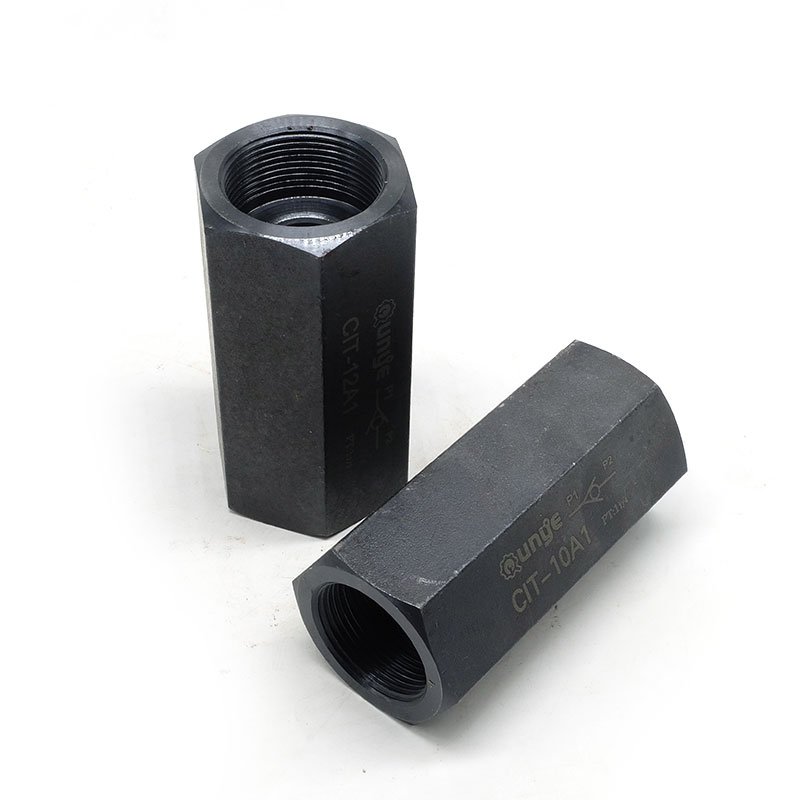 CIT-02 series high quality hydraulic one-way valve 1/4IN