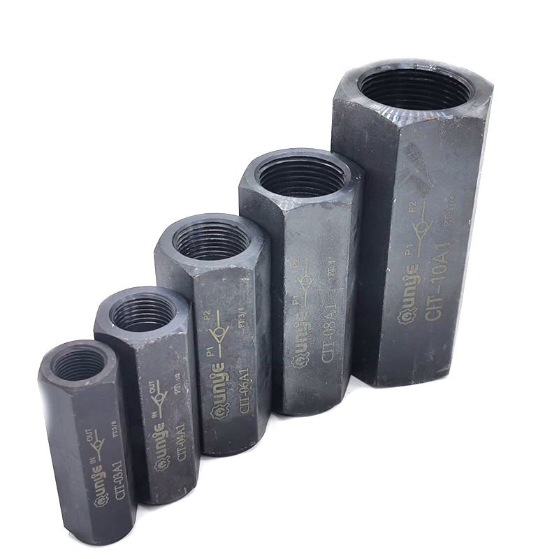 CIT-02 series high quality hydraulic one-way valve 1/4IN