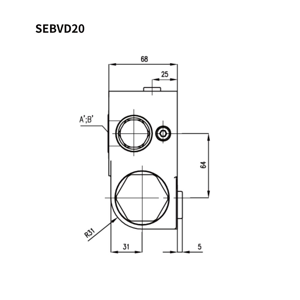 Compact Design By Shanghai Electric Customized Hydraulic Manifolds Counterbalance Valve SEBVD Hydraulic Balance Valves
