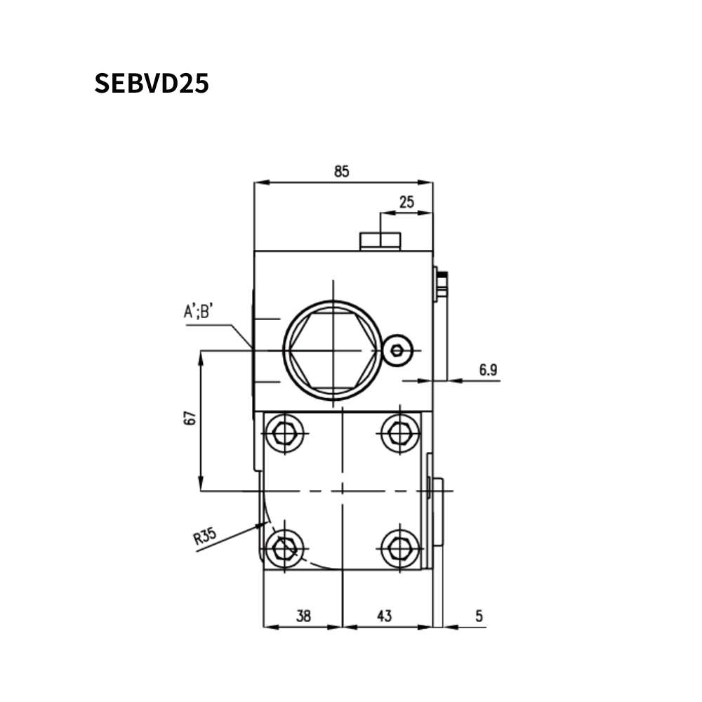 Compact Design By Shanghai Electric Customized Hydraulic Manifolds Counterbalance Valve SEBVD Hydraulic Balance Valves