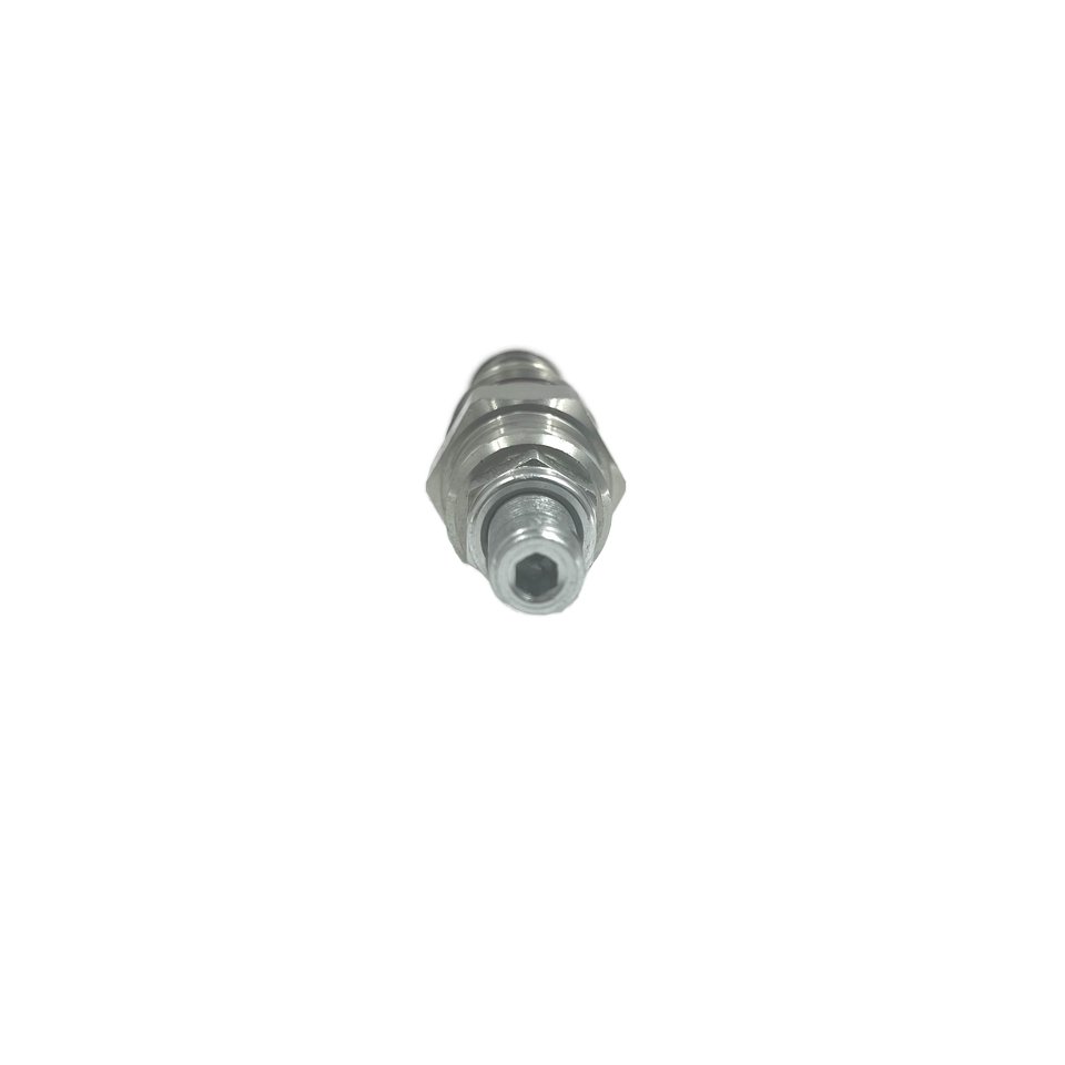 Wholesale Customization Hydraulic Cartridge Valve Relief Valve RVCA With High Performance