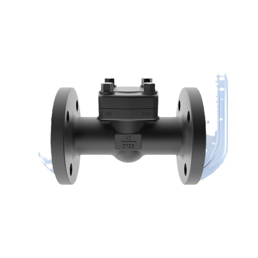 Lift Check Valve