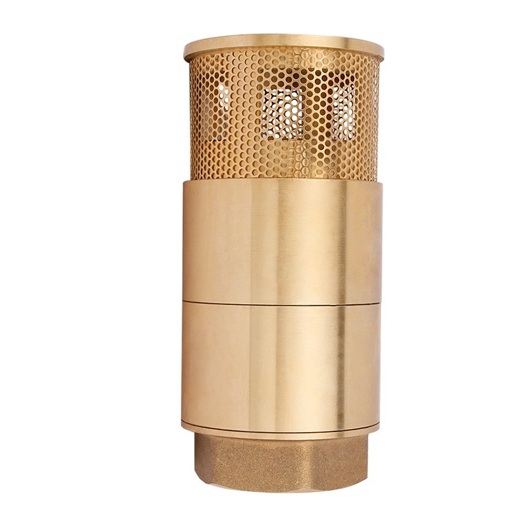 Double brass bottom check valve, double cone valve for fuel distributor, check valve