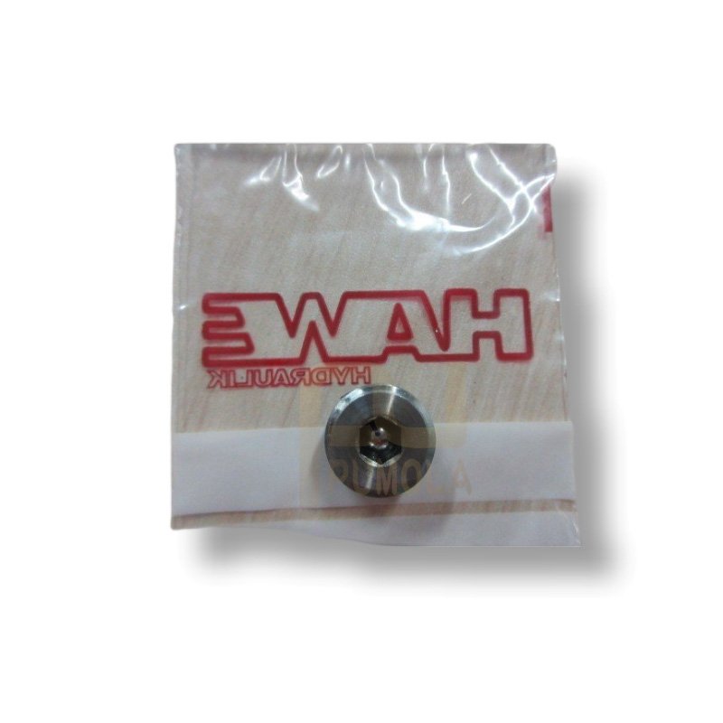 High Quality Hydraulic oil Check Valve RK1 HAWE Hydraulic Flow Valve