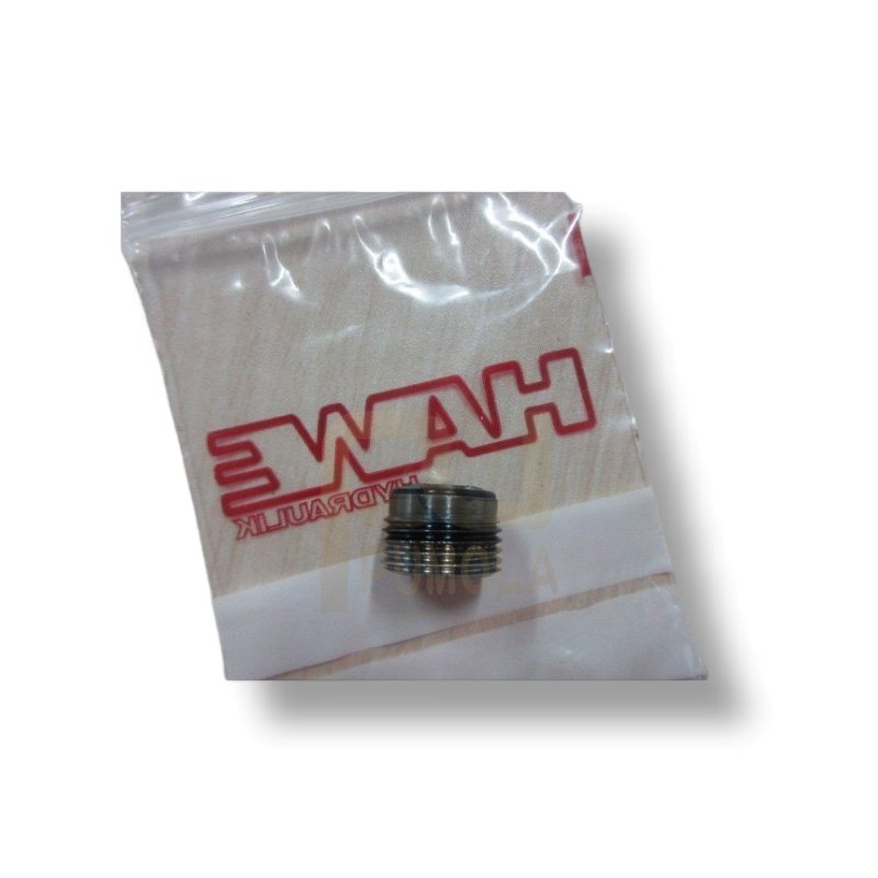 High Quality Hydraulic oil Check Valve RK1 HAWE Hydraulic Flow Valve