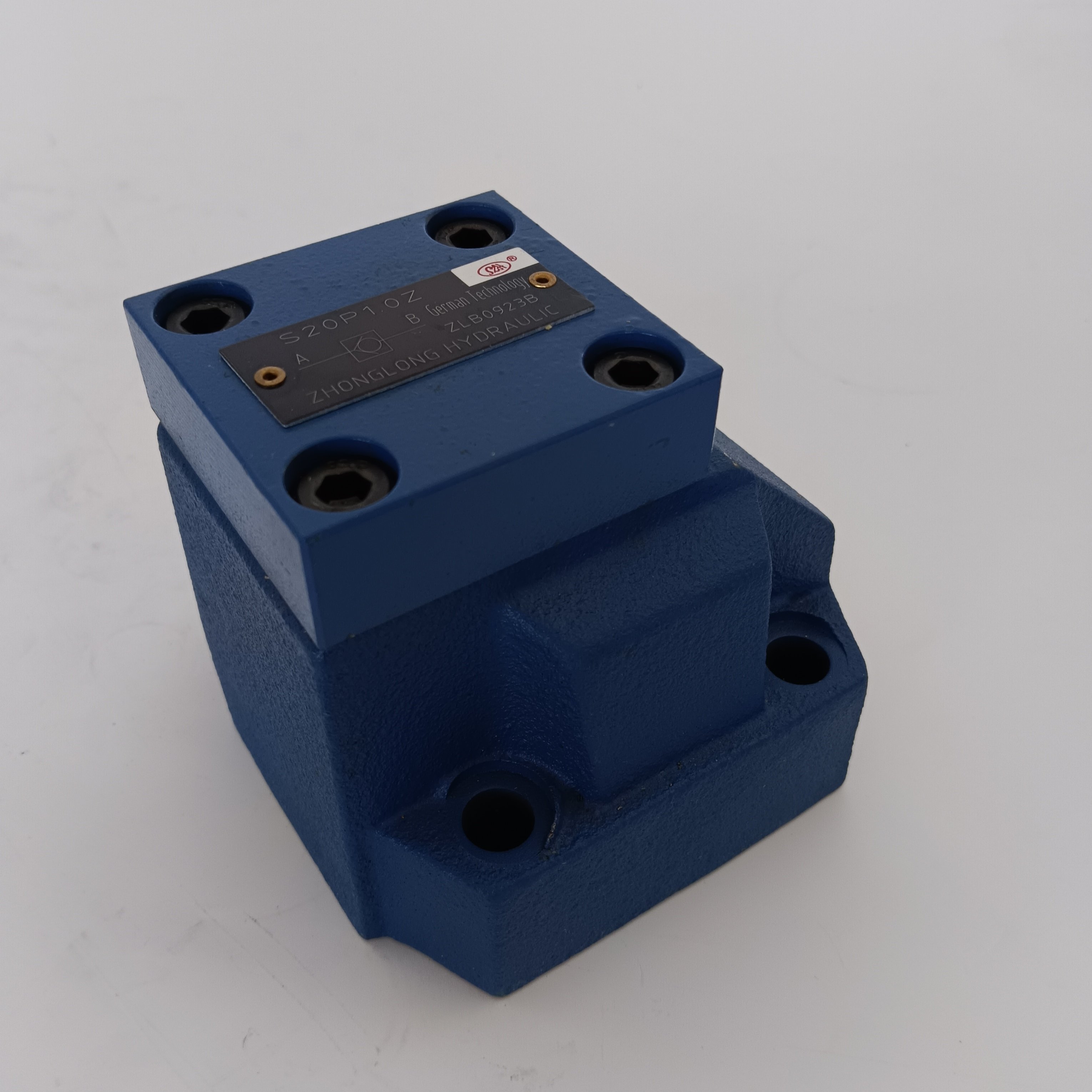 Professional Factory High Performance Hydraulic Valve S20P10Z 220v Plate Check Valve