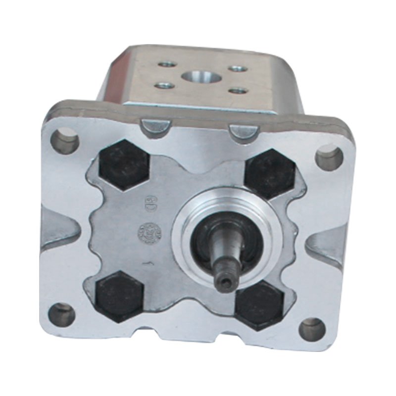 Micro Hydraulic Gear Pump Stainless Steel Rotary Gear Pumps Hydraulic