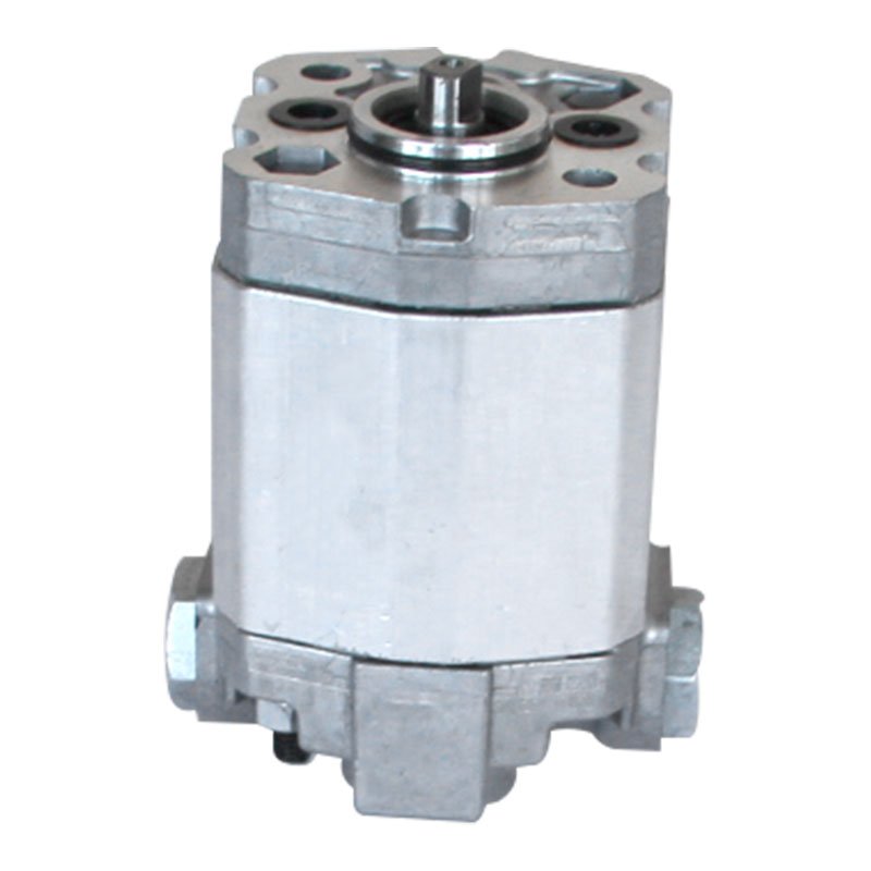 Micro Hydraulic Gear Pump Stainless Steel Rotary Gear Pumps Hydraulic