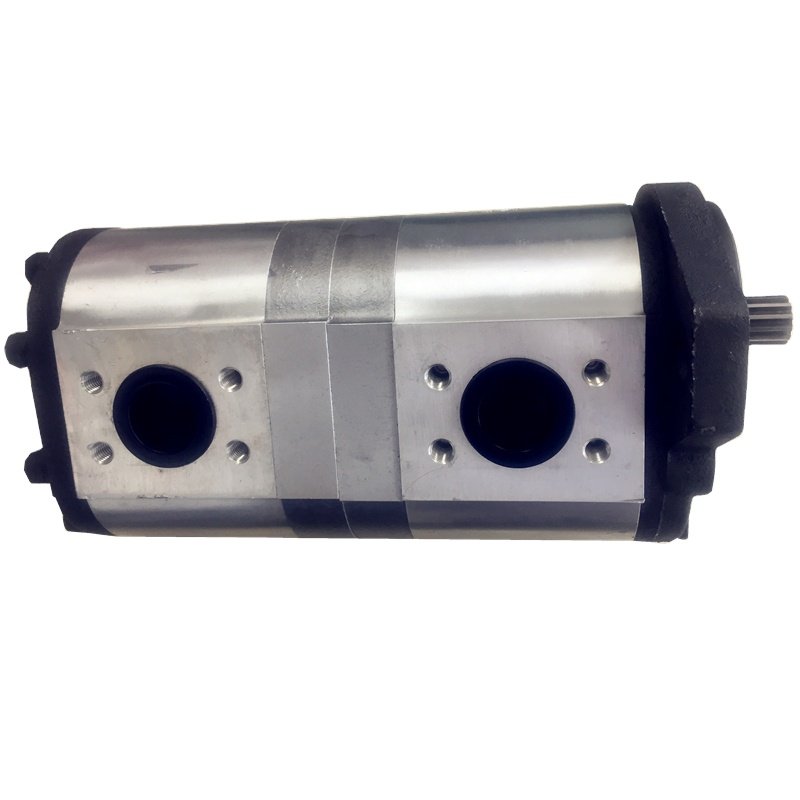 Two-stage Gear Reducer Hydraulic Gear Pump High Quality Stainless Steel Gear Pump