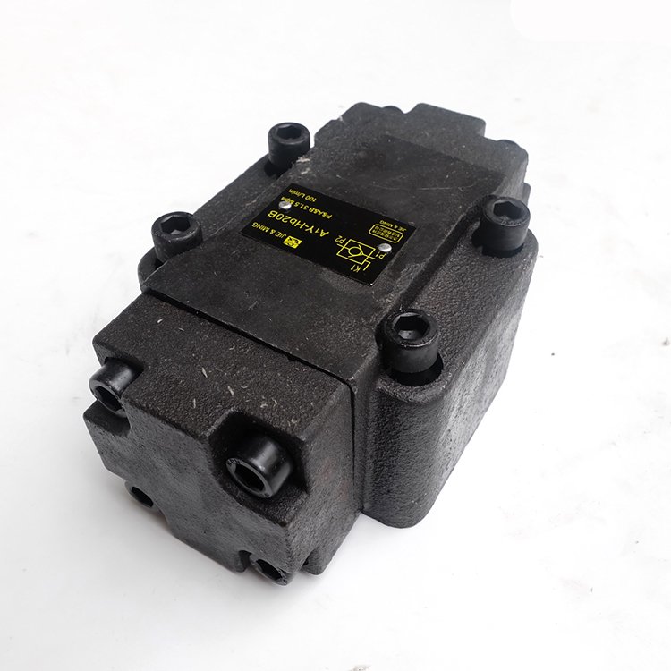Hydraulic A1Y series pressure holding valve/hydraulic control check valve/hydraulic lock A1Y-HA10B A1Y-HB10B
