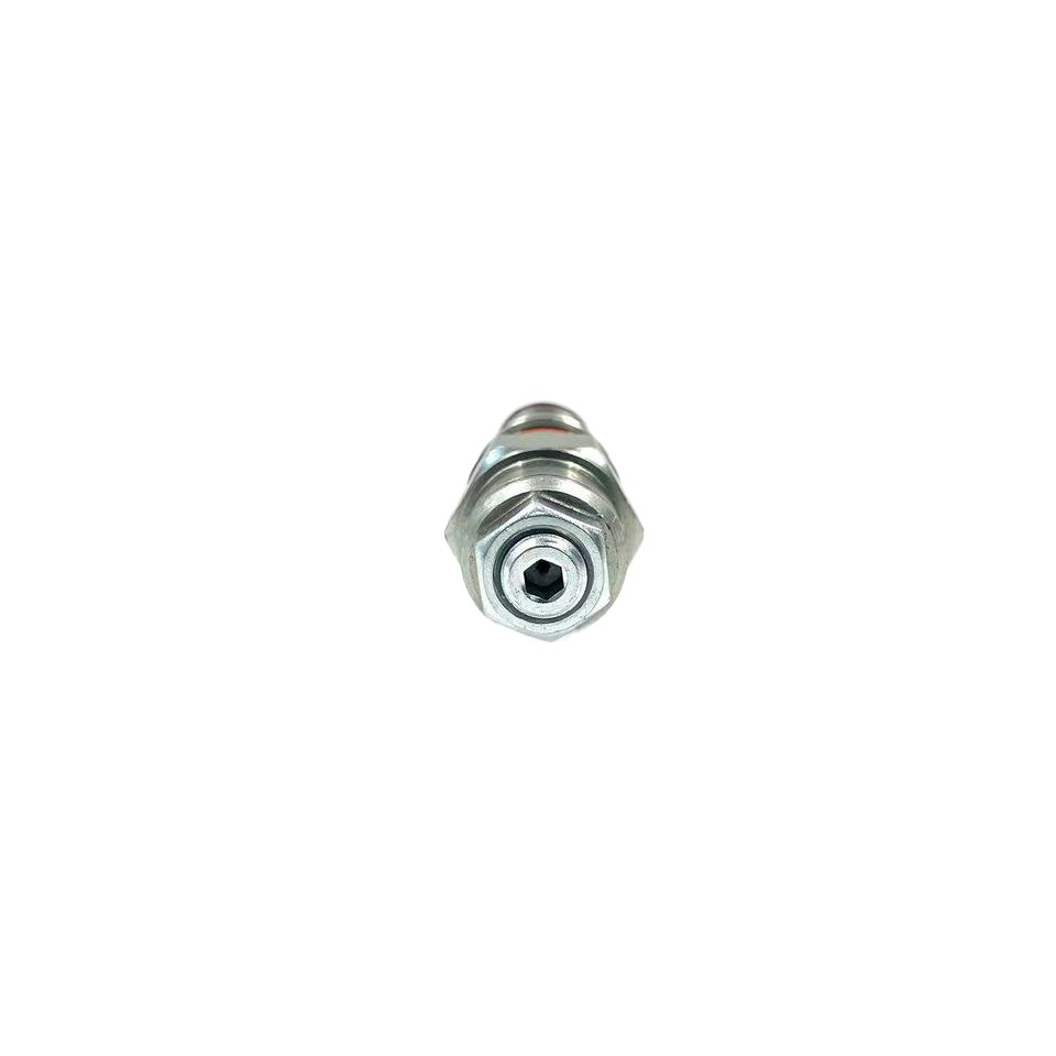 Top Sale SUN Hydraulic Cartridge Valve Counterbalance Valve CBCG Excellent With High Performance