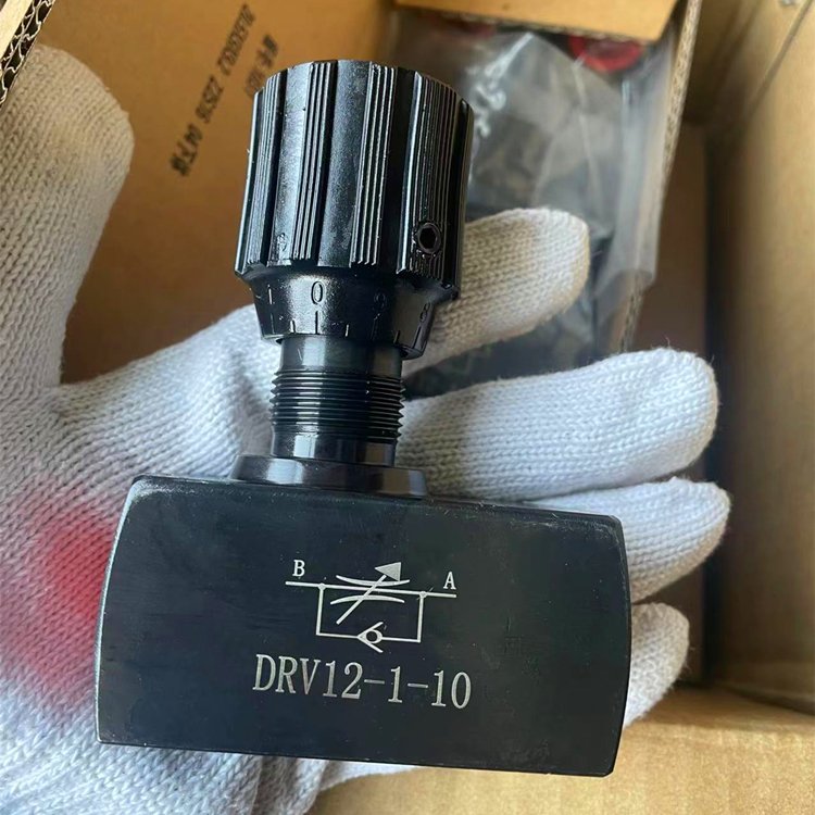 DV DRV 10 Rexroth type Throttle Check Flow Control Needle Valve