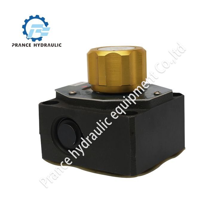 2FRM Series 2FRM5 2FRM6 2FRM10 2FRM16 Hydraulic Flow Control Valve Speed Control Valve