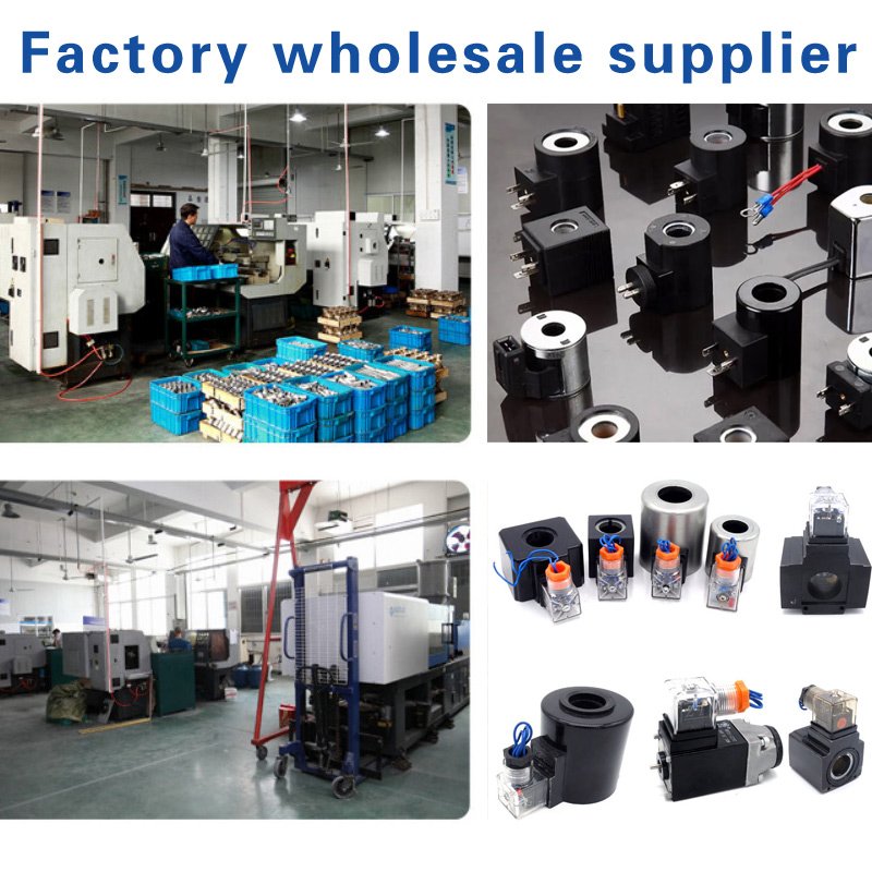 Factory wholesale rexroth directional control valves hydraulic DSG-01 DSG-03 coil Rexroth valve coil