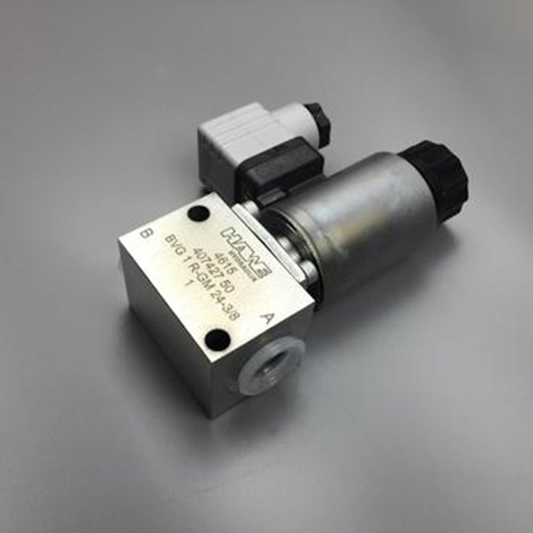 Hot Sale Hawe BVG Series Hydraulic Valve BVG 2 R-G 24 BVG 1 ZD-G 24-3/8 BVG2 Z-G24 Solenoid Valve